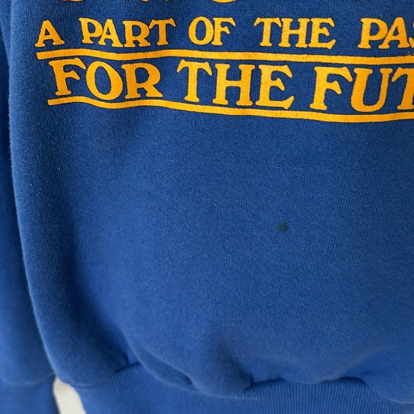 Vintage Jerzees Old Main Crewneck Sweatshirt - Picture 10 of 14